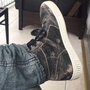 Meet your Posher, Kevin